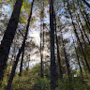 Meet your Posher, Jialin